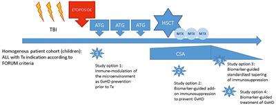 Current Prophylaxis and Treatment Approaches for Acute Graft-Versus-Host Disease in Haematopoietic Stem Cell Transplantation for Children With Acute Lymphoblastic Leukaemia